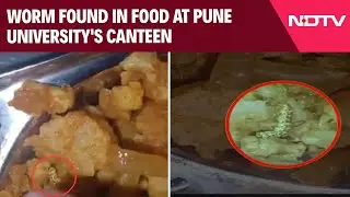 Pune News | Worm Found In Food At Pune University's Canteen, Students Demand Strict Action