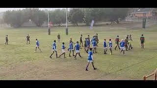 Primrose rfc vs Du Kuilen high u/14