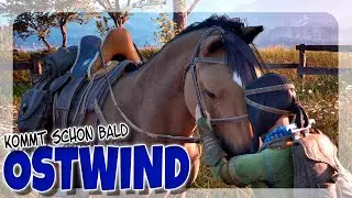 COMING SOON 🐴 NEW HORSE GAME | WINDSTORM: The Legend of Khiimori