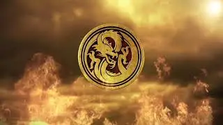 DISCIPLEWEAR LOGO GOLD COIN ANIMATION