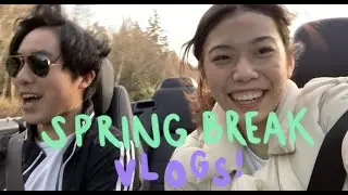spring break vlog 2022🤠