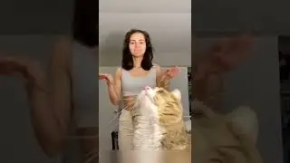 Memes Compilation Try Not to LAUGH