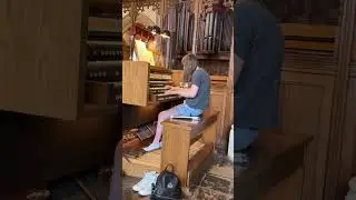 Lilyplays#manifeellikeawoman#shaniatwain#organ