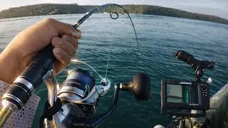 From Squid to Kingfish | Kayak Fishing Sydney