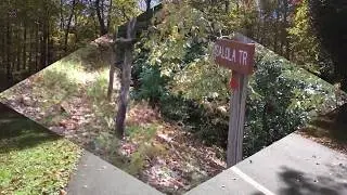Salola Trail |Connestee Falls| Brevard, NC