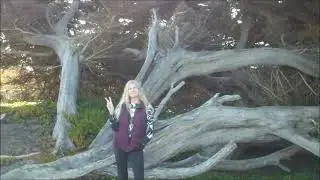 Vibrational Cure - John Corsaro