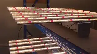 Aging test on LED cannabis grow lights  shenzhen Light on Technology Co.,ltd