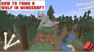 How to tame a wolf in Minecraft 1.16