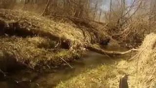 Backyard airsoft
