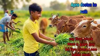 My first block || Ham a gaye Apne gayon ke liye chara Lene || #viralvideo #vlogs #trending 