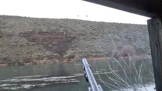 Duck Hunting a CRAZY NEW SPOT.... #hunting #fun #fypage #funny #river #adventure #outdoors #duck #fy
