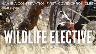 E40 WILDLIFE  ELECTIVE