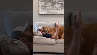 My dog follows me everywhere!