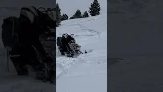 Needed help with a ski pull #polaris #snowmobile #stuck