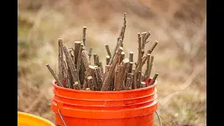 LIVESTAKING 101 WEBINAR