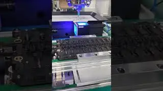Produce black technologyFeeding and arrangingwith the flexible feeding station #automation#automated