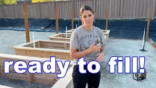 Garden boxes are Ready!