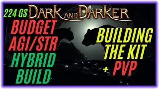 Budget Panther/Bear Hybrid Build for 224 GS. Druid Solo PVP. Dark and Darker