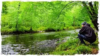 Spring Forest River Sounds &bull; Gentle Stream & Birdsong | 4K Relaxing Nature Ambience - Sleep & Focus