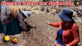 ¡Así siembro cebollas en el campo! 🌱🧅✨ | CHOLITA ISABEL