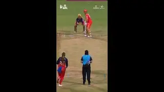 Gujarat Giants captain&rsquo;s knock! Ashleigh Gardner slams her third #TATAWPL 2025 fifty #WPLOnJioStar