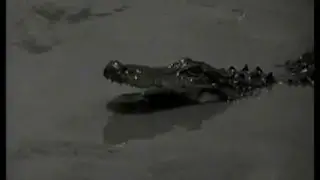 Lassie - Episode #216 - 