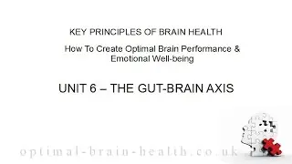 Optimal Brain Health Course 6 - The Gut-Brain Axis