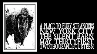 A Place To Bury Strangers - Silent Barn 2014