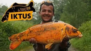 Pt 2 - De 0 a 100 por momentos... CARPFISHING FRANCIA