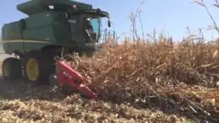 MayaAmerica Corn head in Down corn