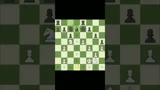 rook wow #chess #chessshorts #chesstipsandtricks #hikaru #shorts #endgame #chesspuzzle