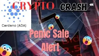 #cryptocurrency Update, #cardano ADA coin , SEC Attack on Crypto.