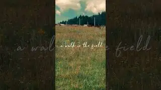 A walk in the field...