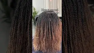 Microlocs Journey 🔥 6 months #naturalhair #microlocs #hair #freedom