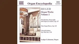 9 Organ Pieces, Op. 129: V. Basso ostinato in G Minor