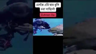 🔴Zubeen Grag Death 😭#zubbengargsong #zubbengarg #dy365 #pragnews #zubben #pratidintime