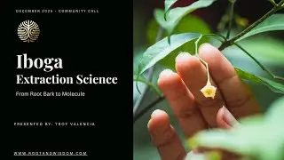 Root & Wisdom Iboga Extraction