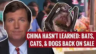China Hasn't Learned: Bats, Cats, & Dogs Back On Sale