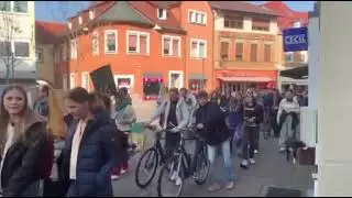 Demo in Wiesloch - FFF - Fridays for future - Klima Streik