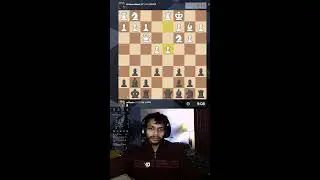 PuzRush  chess 13/365