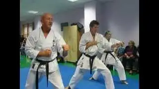 Washinkai Karate Javea Nidan