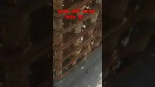 starter क्यो जरूरी होता है?  #column #casting #steel #shuttering #framing  @engineers_at_site_noida