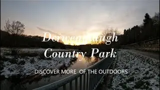 Exploring Derwenthaugh Country Park