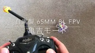 URUAV UR65 Anti-Turtle Mode（亀吉モード ^o^;;）デモンストレーション