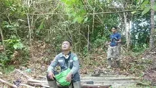 #monitoring burung cantik!! #