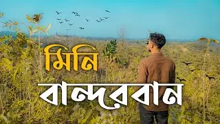 মিনি বান্দরবান | কক্সবাজারে ঘুরে দেখার মতো আরেকটি সুন্দর স্পট | Mini Bandorban | Goalia Palong |