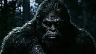 Discovering Bigfoot is live With Todd Standing  December 9