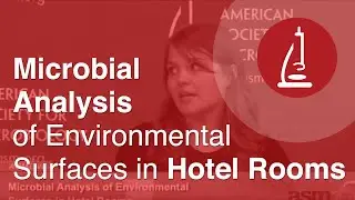 Microbial Analysis of Environmental Surfaces in Hotel Rooms