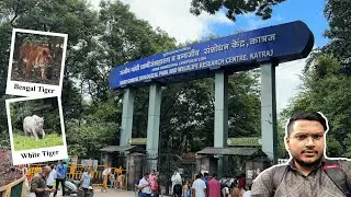 राजीव गांधी प्राणीसंग्रहालय पुणे | Rajiv Gandhi Zoological Park Pune | Katraj Zoo.