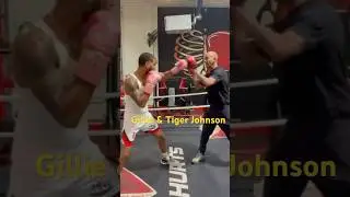 GILLIEDAKING WORKING THA MITTS FOR TIGER JOHNSON #gilliedaking #tigerjohnson #jbt